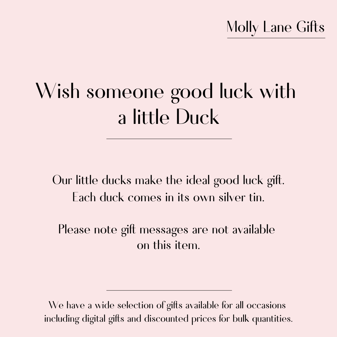 Luminous Good Luck Duck Tin (7000)