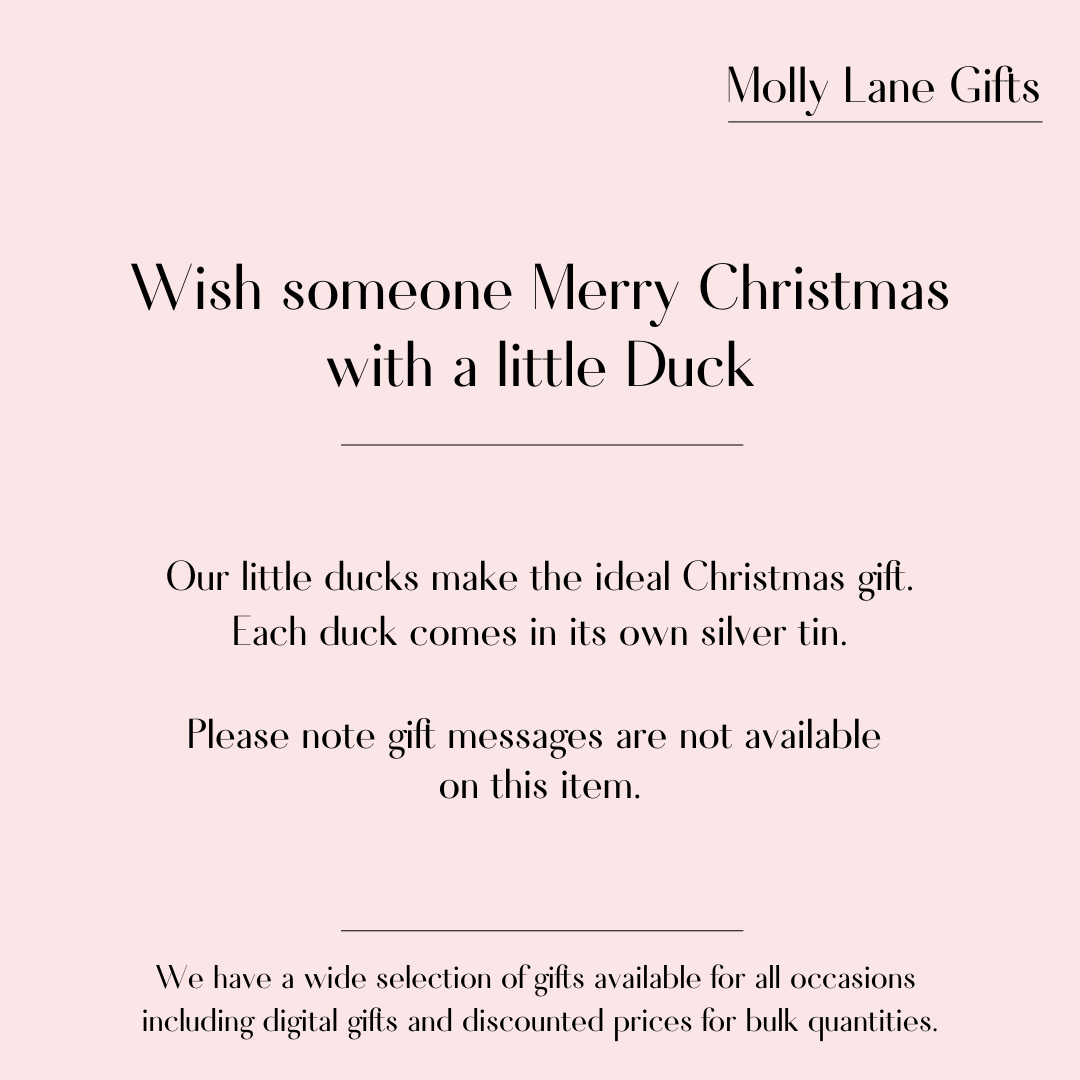 Christmas Duck Tin (1066)