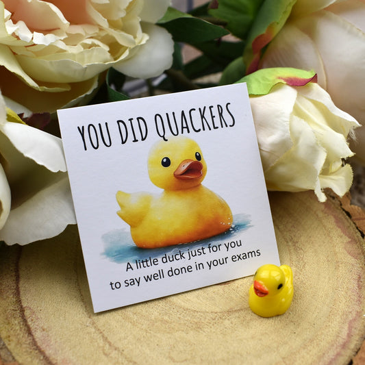 CLEARANCE - You Did Quackers Duck
