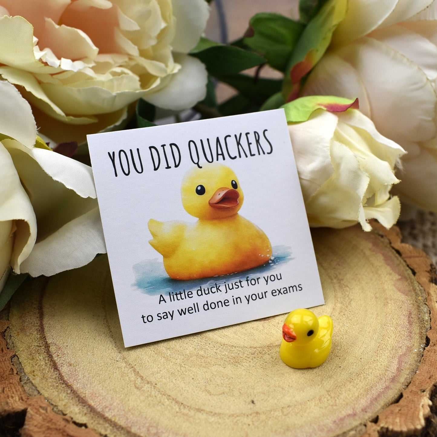 You Did Quackers Duck
