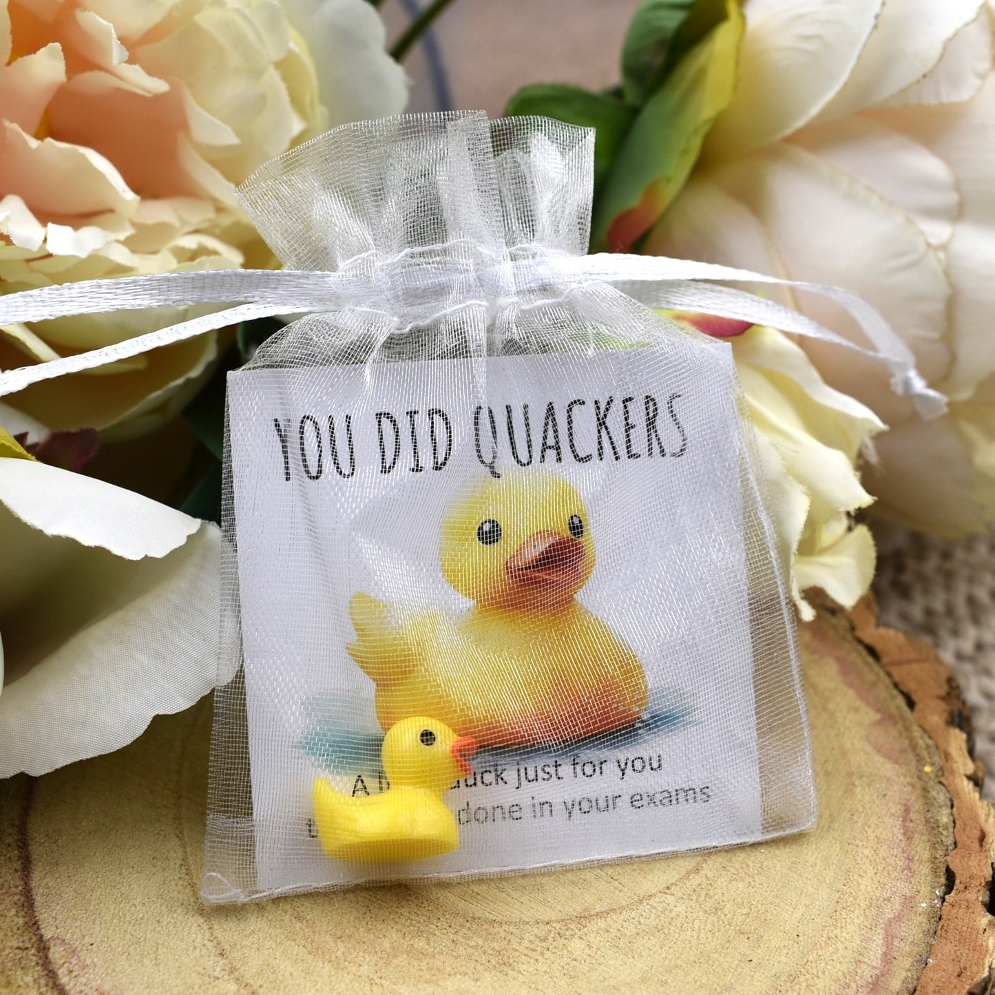 You Did Quackers Duck