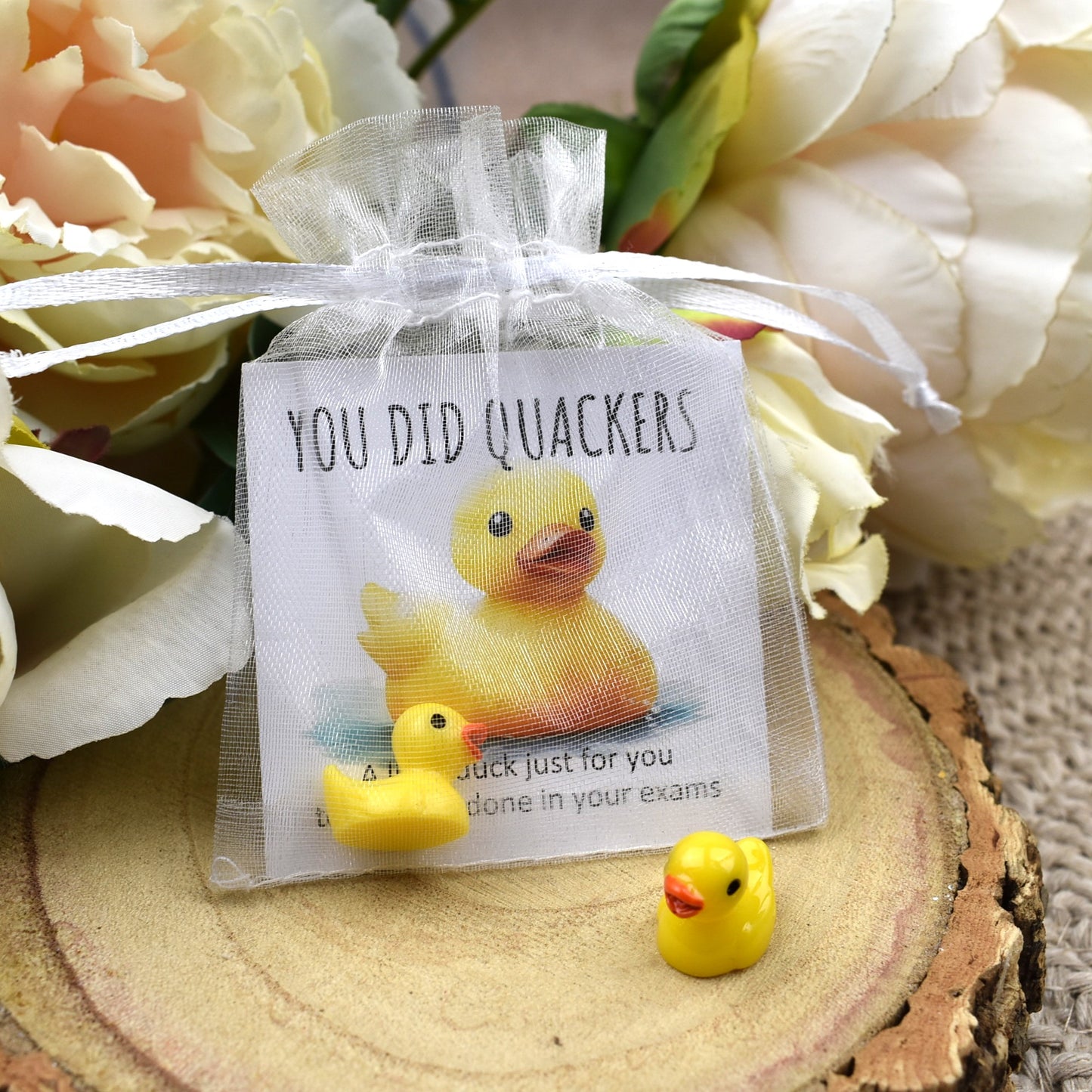 You Did Quackers Duck