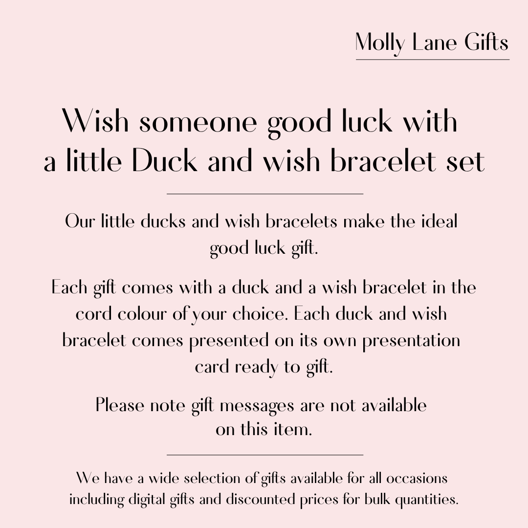 Good Luck In Your Exams Duck and Wish Bracelet Set (7000)