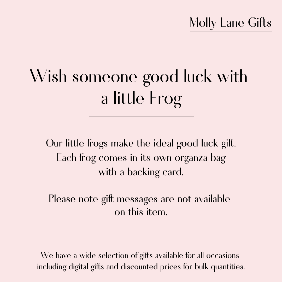 Positive Frog - Lots of Luck (7012)
