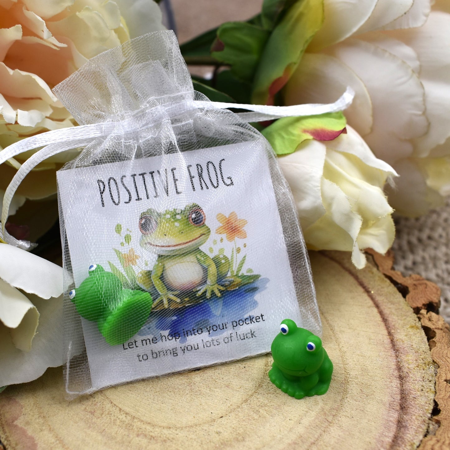 Positive Frog - Lots of Luck (7012)