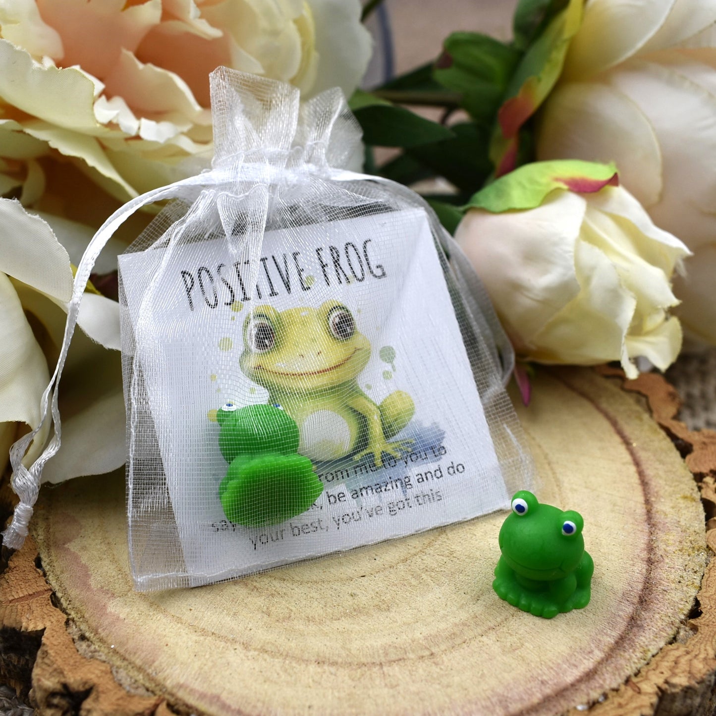 Bulk Priced | Positive Frog - You've Got This (7010)