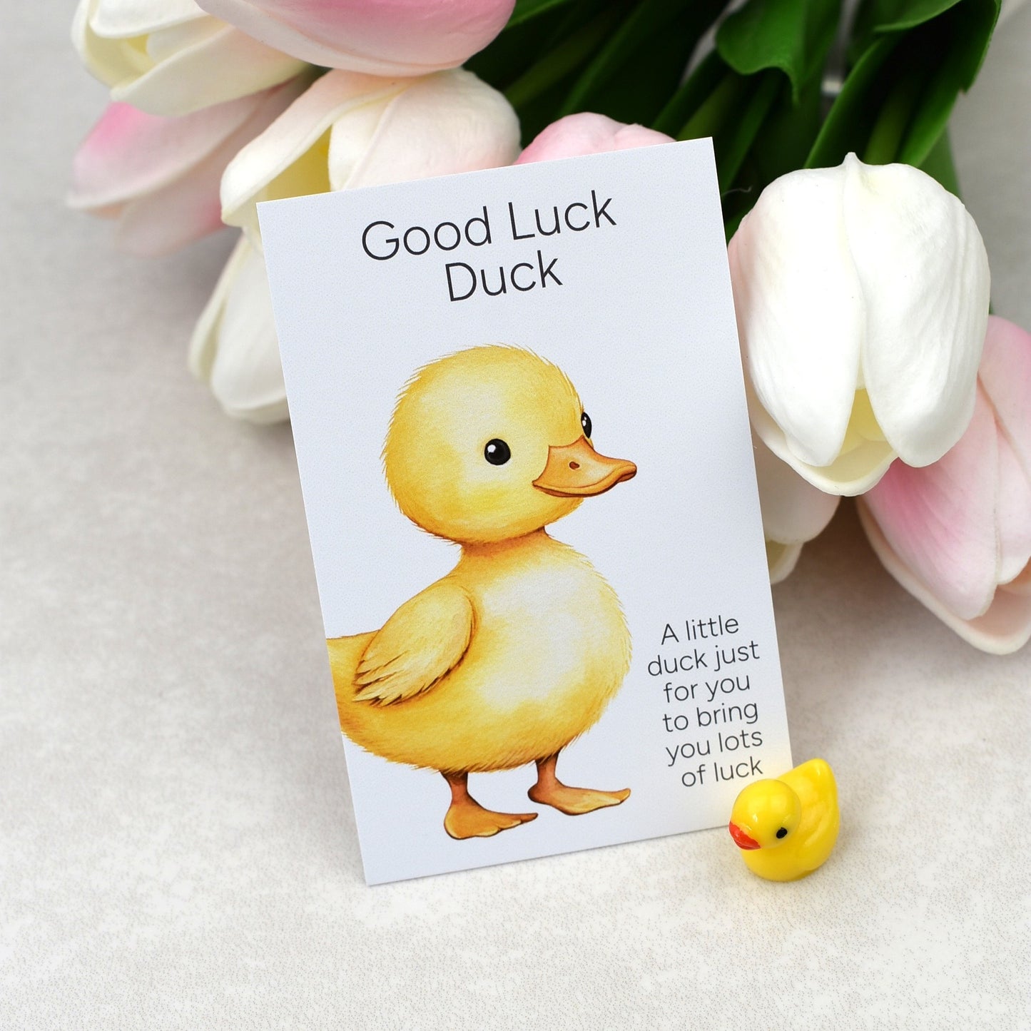 Good Luck Duck