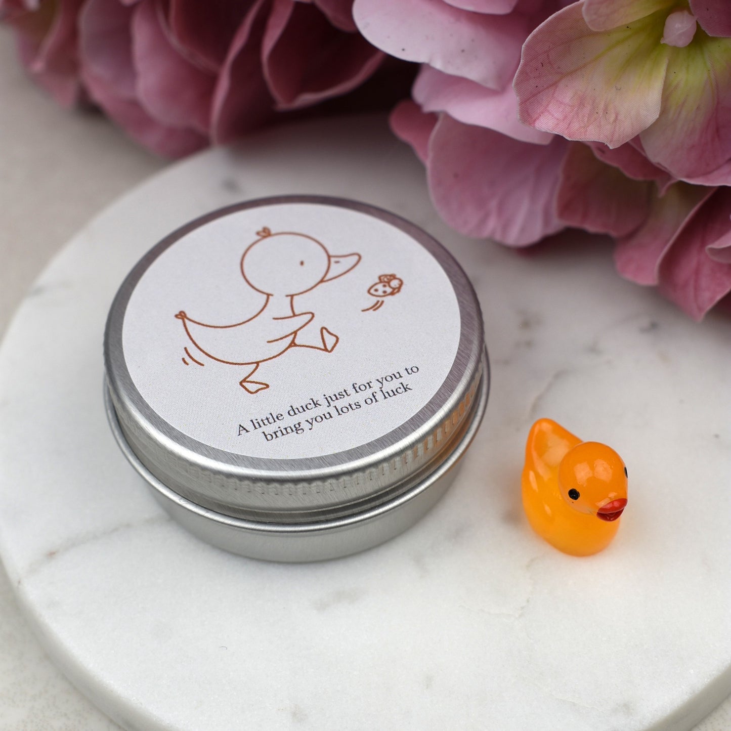 Good Luck Duck Tin - Ladybird - Luminous Duck