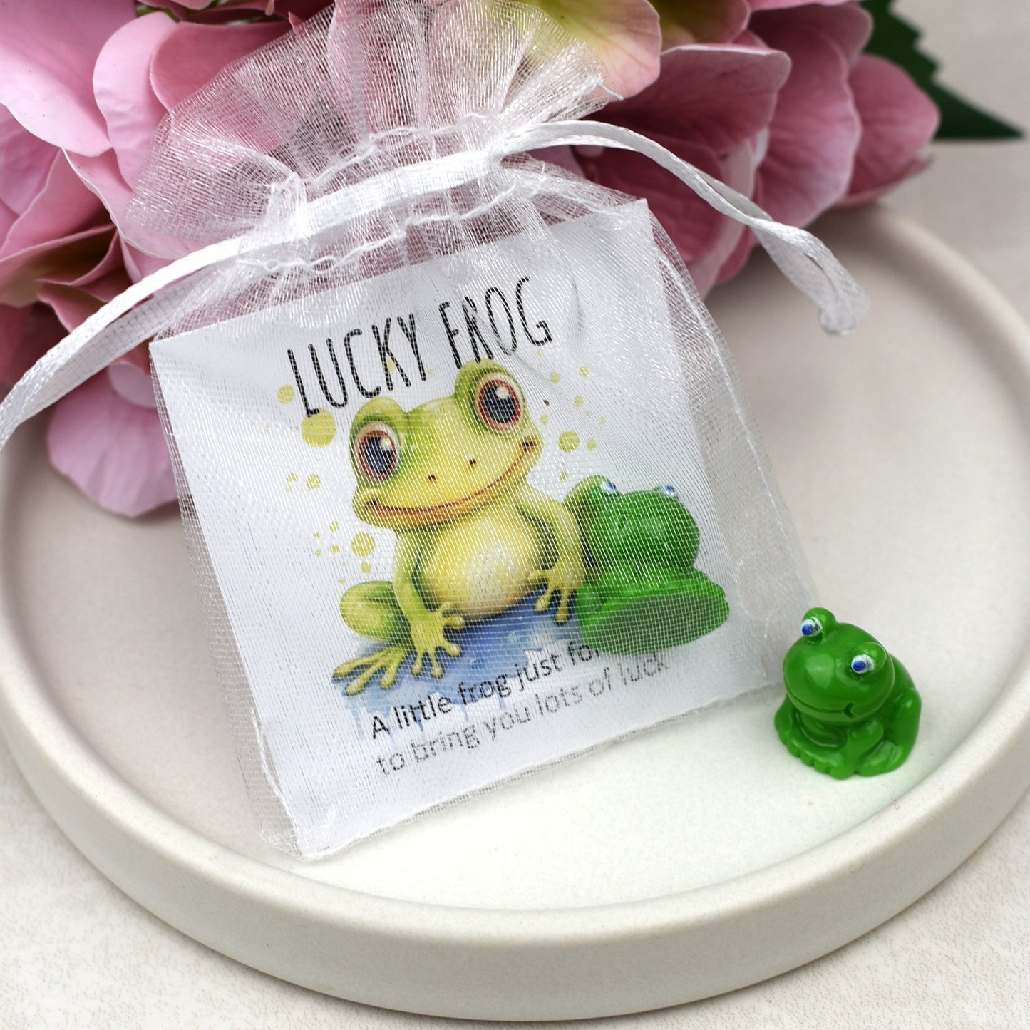 CLEARANCE - Lucky Frog
