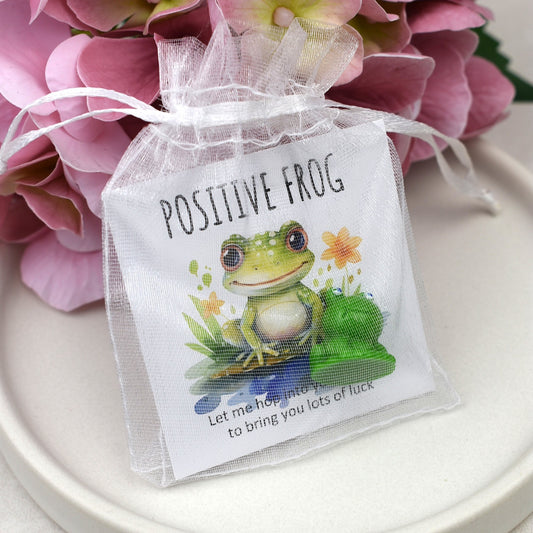 CLEARANCE - Positive Frog - Lots of Luck