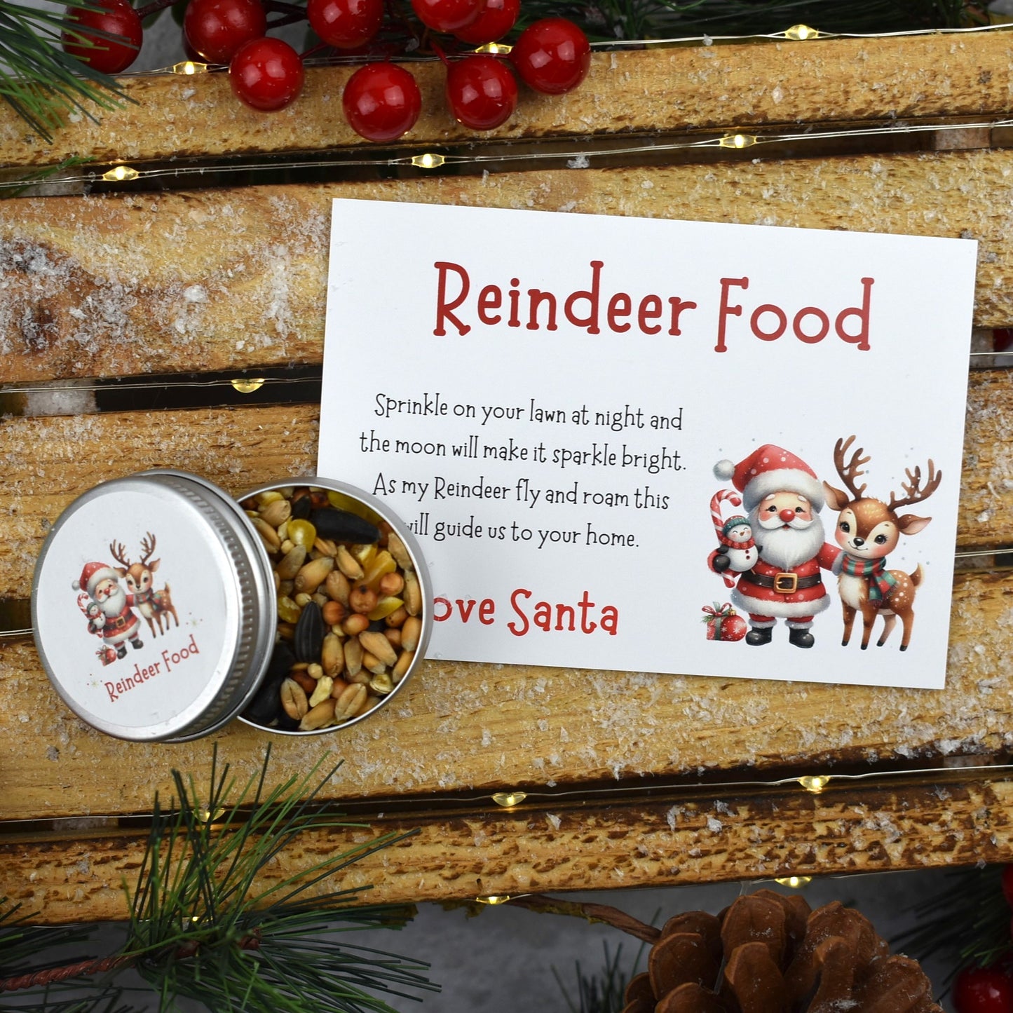 Reindeer Food, Wish Bracelet and Nice List Set (1045)