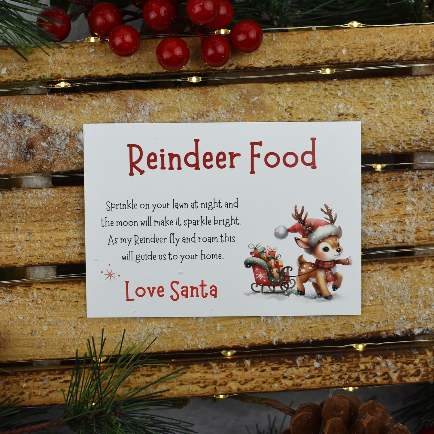 Reindeer Food and Wish Bracelet Set (1046-2)