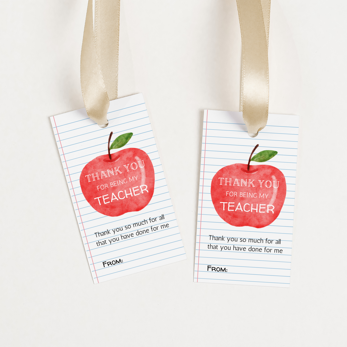 DIGITAL Teacher Thank You Gift Tag (4002)