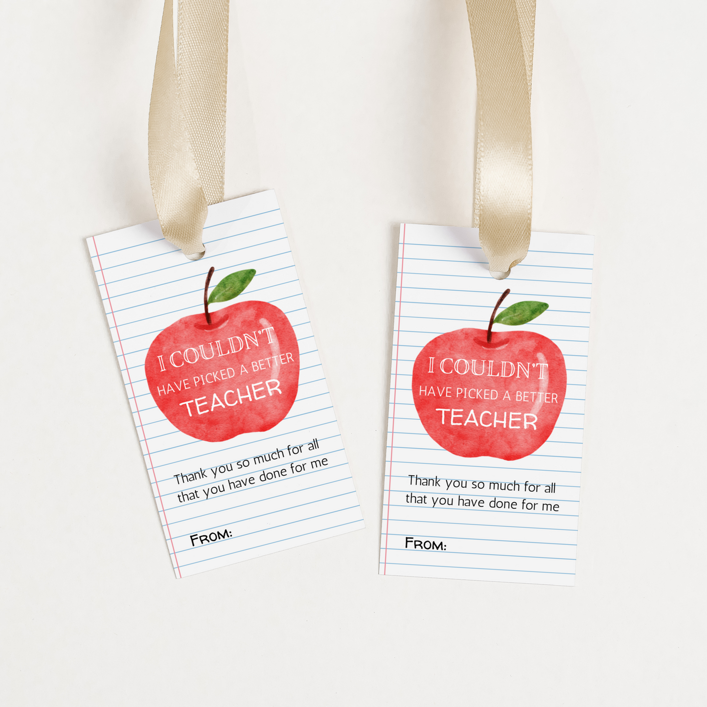 DIGITAL Teacher I Couldn't Have Picked A Better Gift Tag (4007)