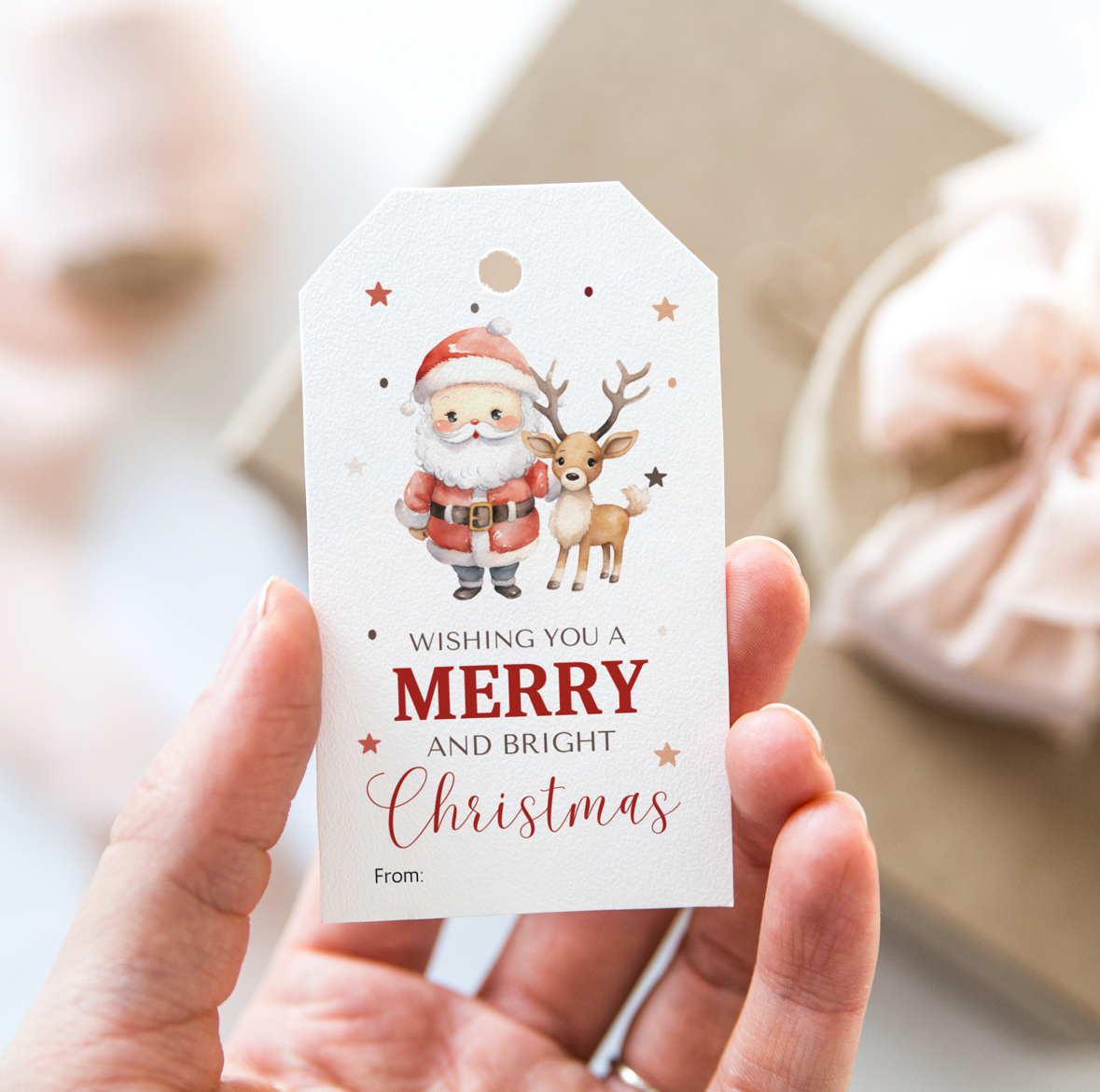 DIGITAL Merry Christmas Gift Tag (1001)