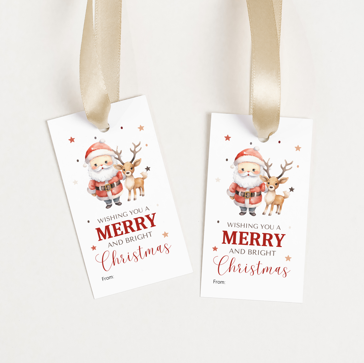 DIGITAL Merry Christmas Gift Tag (1001)