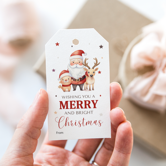 DIGITAL Merry Christmas Gift Tag (1003)