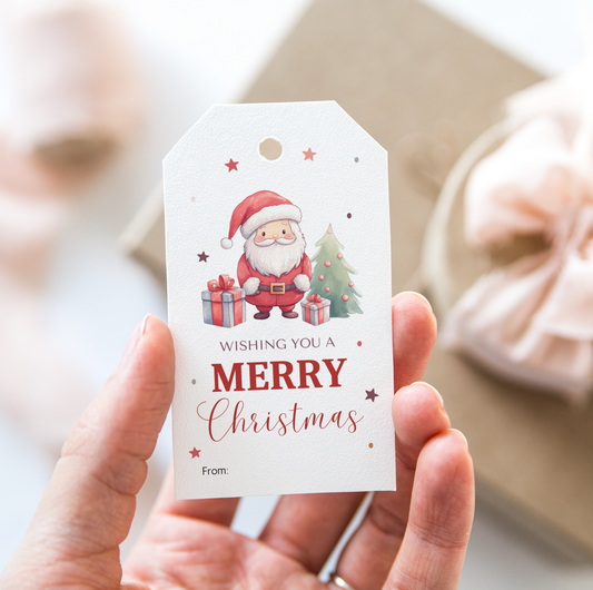 DIGITAL Merry Christmas Gift Tag (1004)
