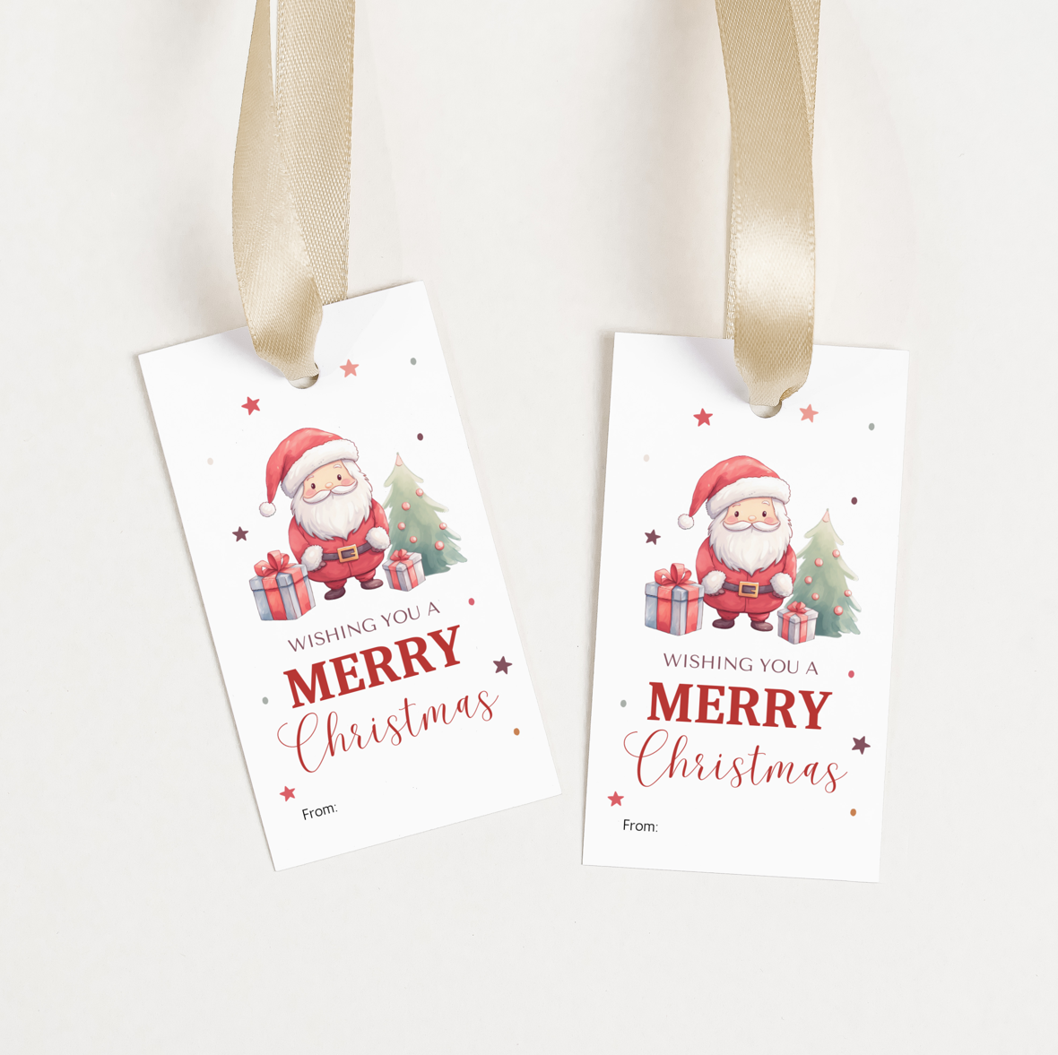 DIGITAL Merry Christmas Gift Tag (1004)