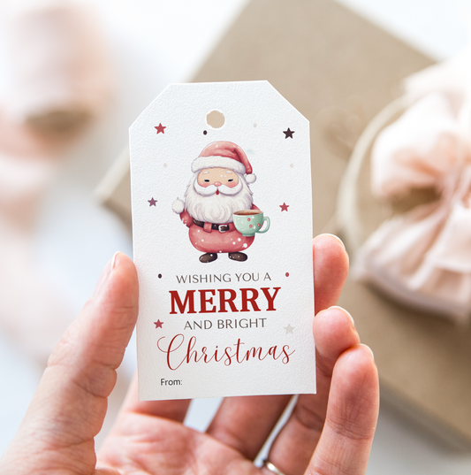 DIGITAL Merry Christmas Gift Tag (1005)