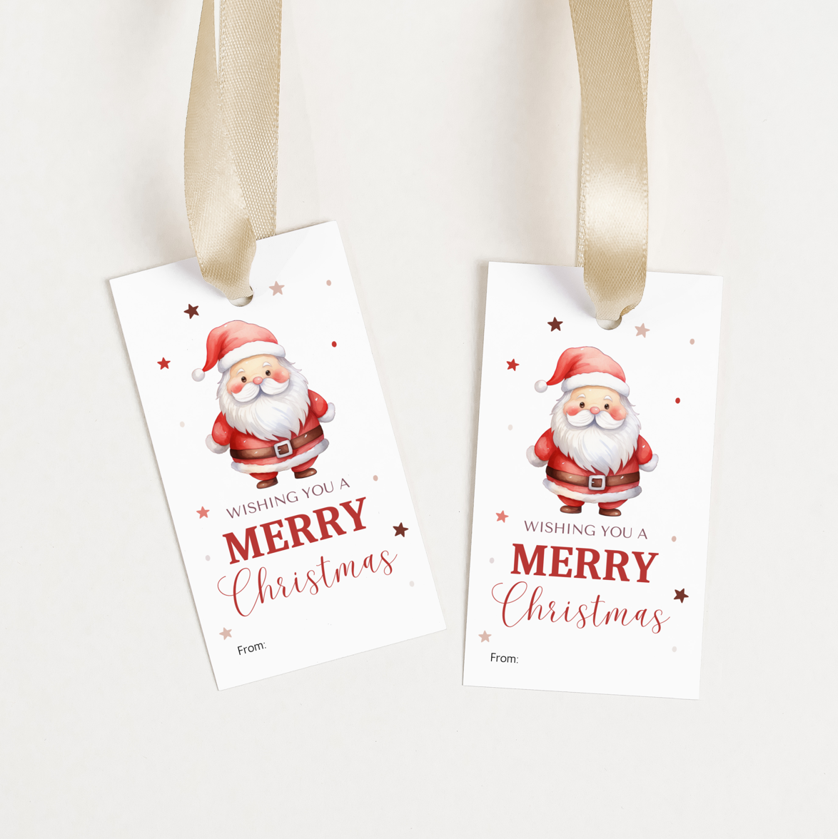 DIGITAL Merry Christmas Gift Tag (1006)
