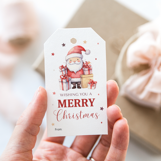 DIGITAL Merry Christmas Gift Tag (1008)