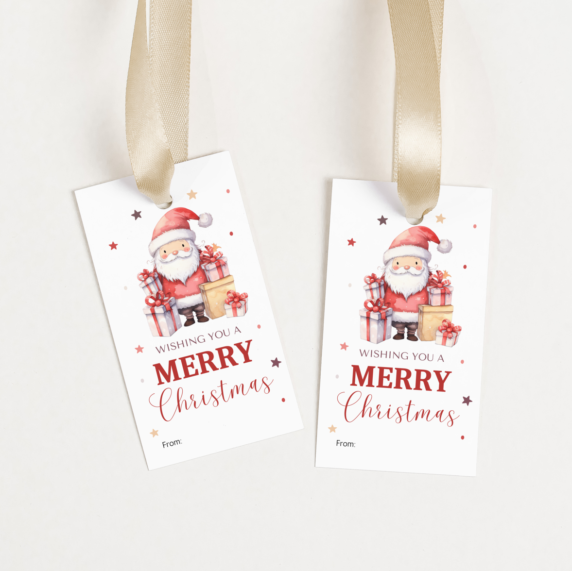 DIGITAL Merry Christmas Gift Tag (1008)