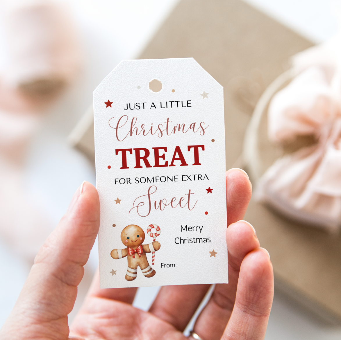 DIGITAL Merry Christmas Gift Tag (1013)