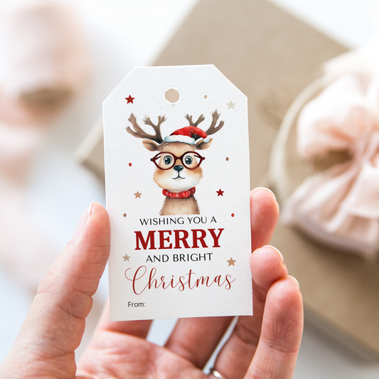 DIGITAL Merry Christmas Gift Tag (1016)