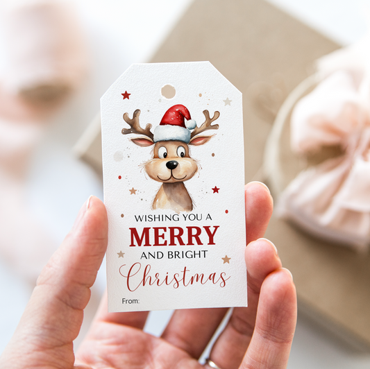 DIGITAL Merry Christmas Gift Tag (1017)