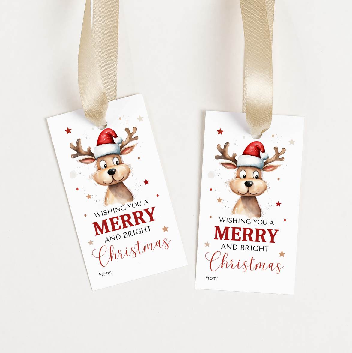 DIGITAL Merry Christmas Gift Tag (1017)