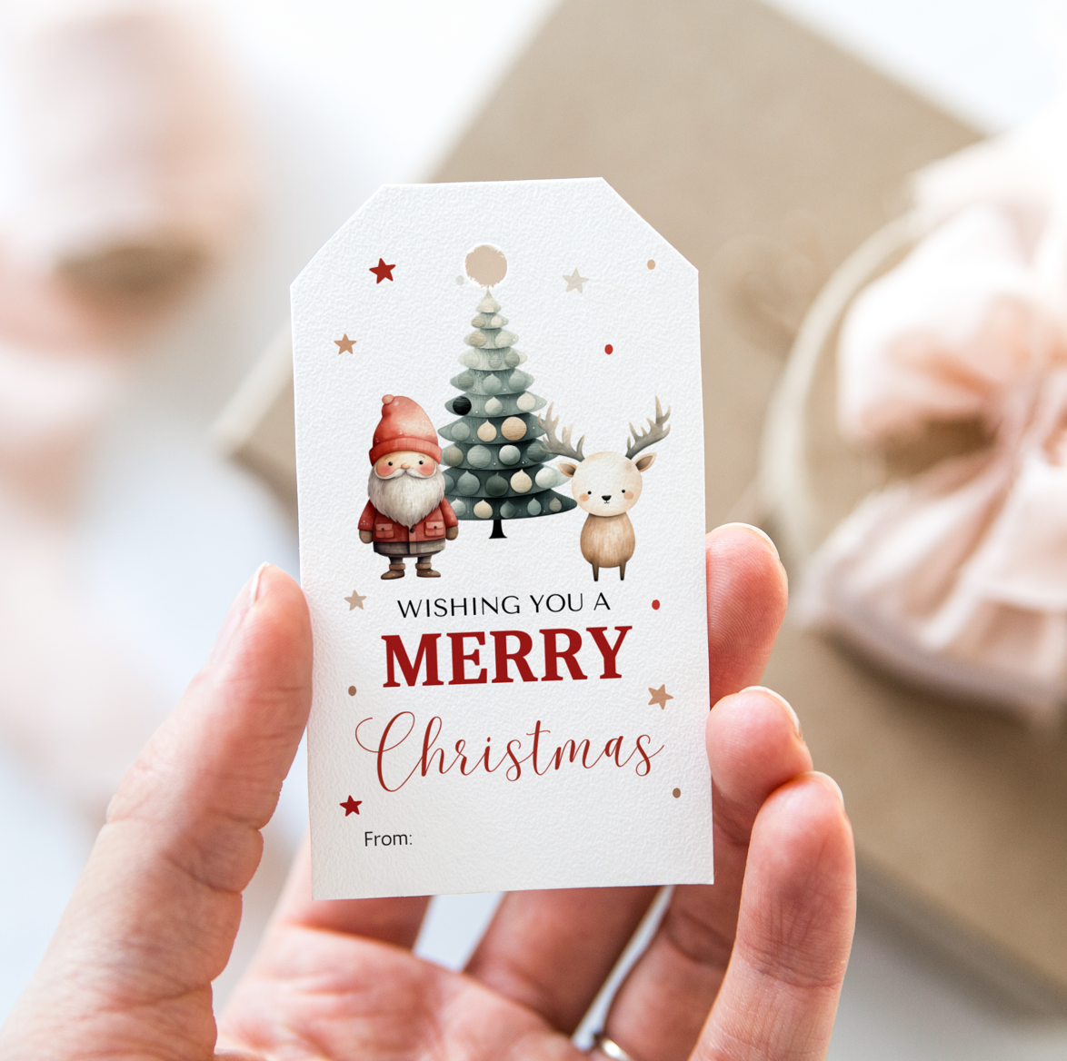 DIGITAL Merry Christmas Gift Tag (1019)