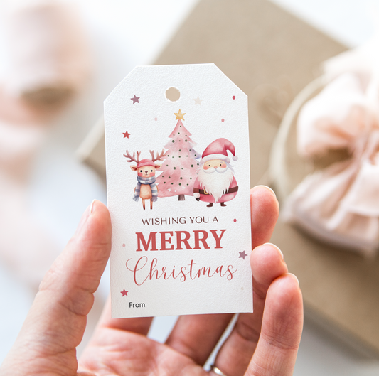 DIGITAL Merry Christmas Gift Tag (1022)