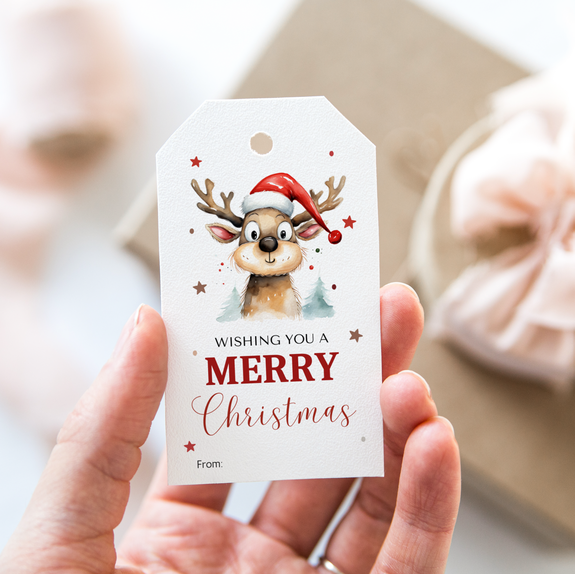 DIGITAL Merry Christmas Gift Tag (1028)