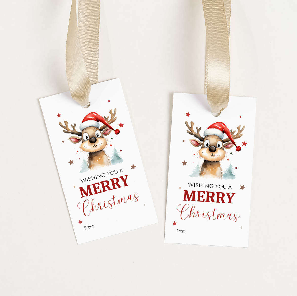 DIGITAL Merry Christmas Gift Tag (1028)