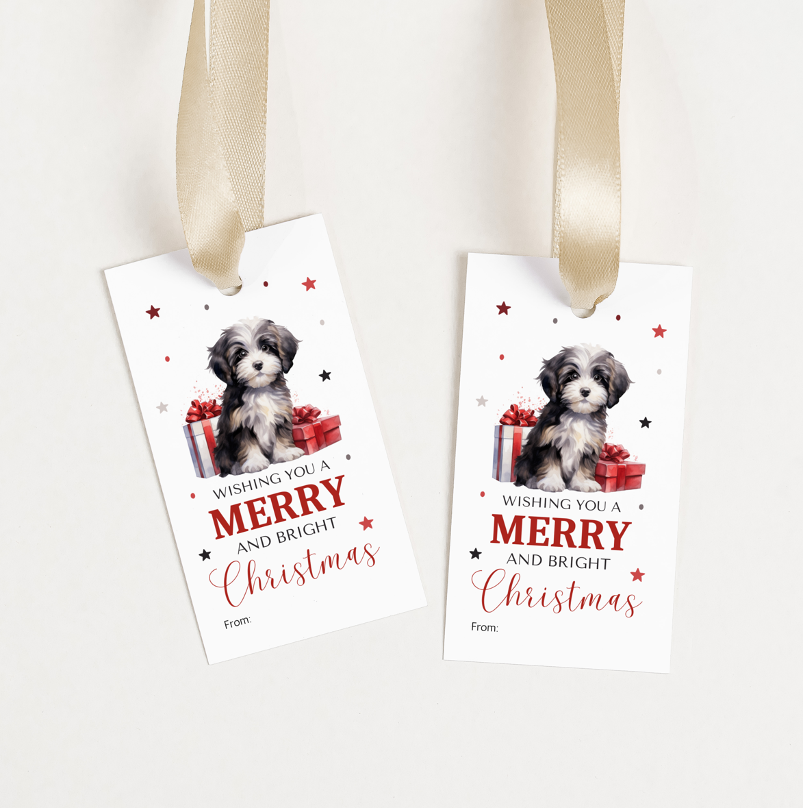 DIGITAL Merry Christmas Gift Tag (1033)
