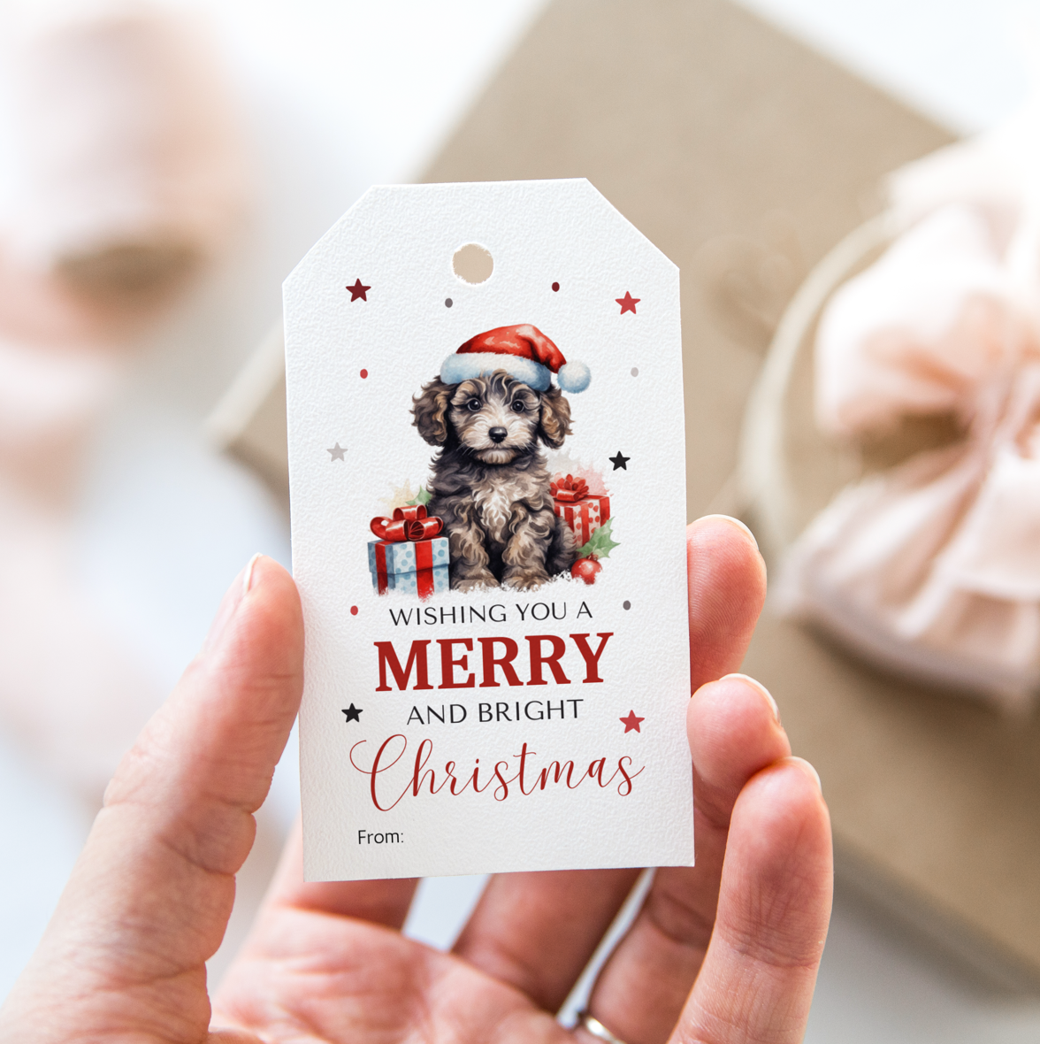 DIGITAL Merry Christmas Gift Tag (1034)