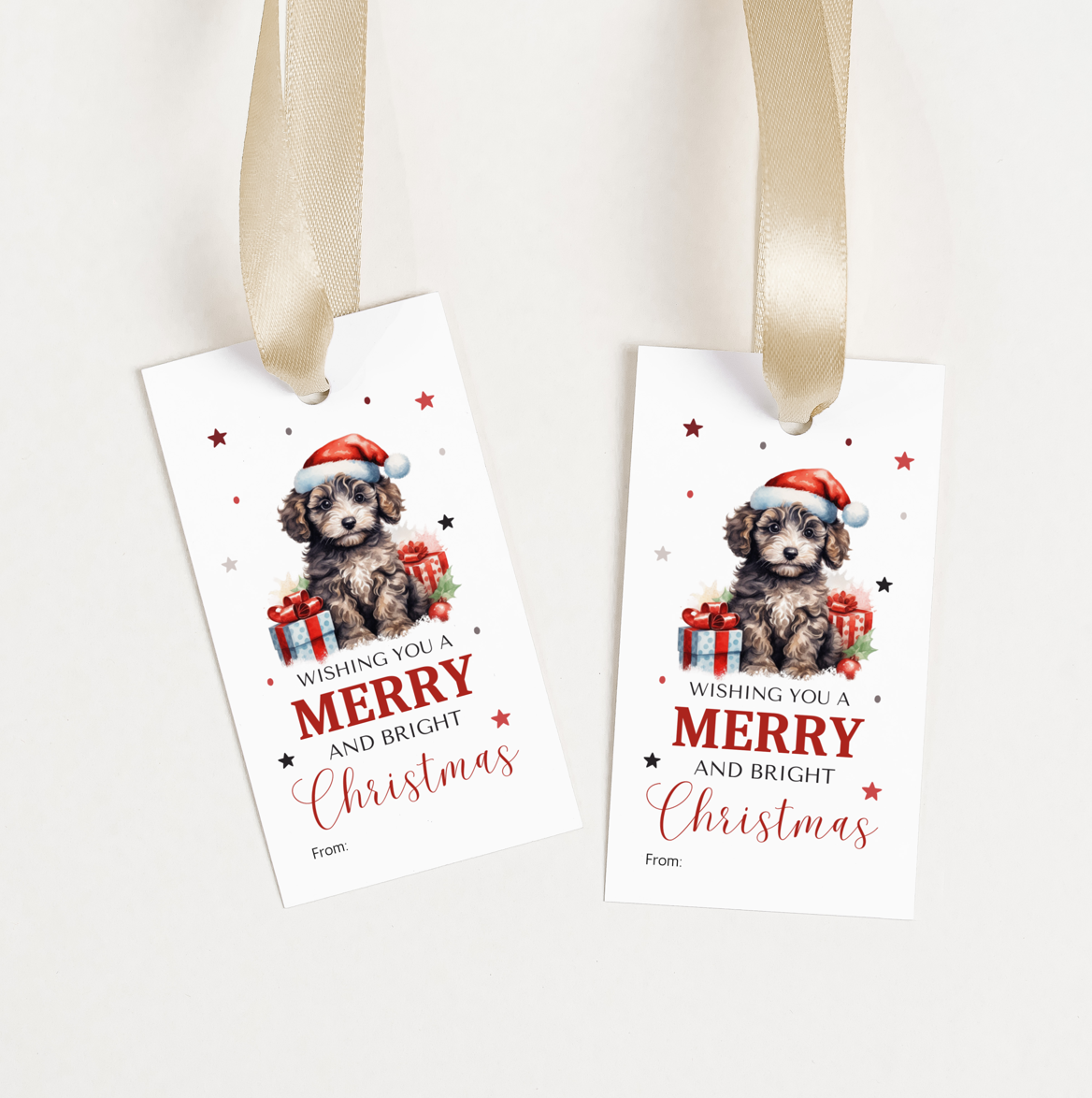 DIGITAL Merry Christmas Gift Tag (1034)