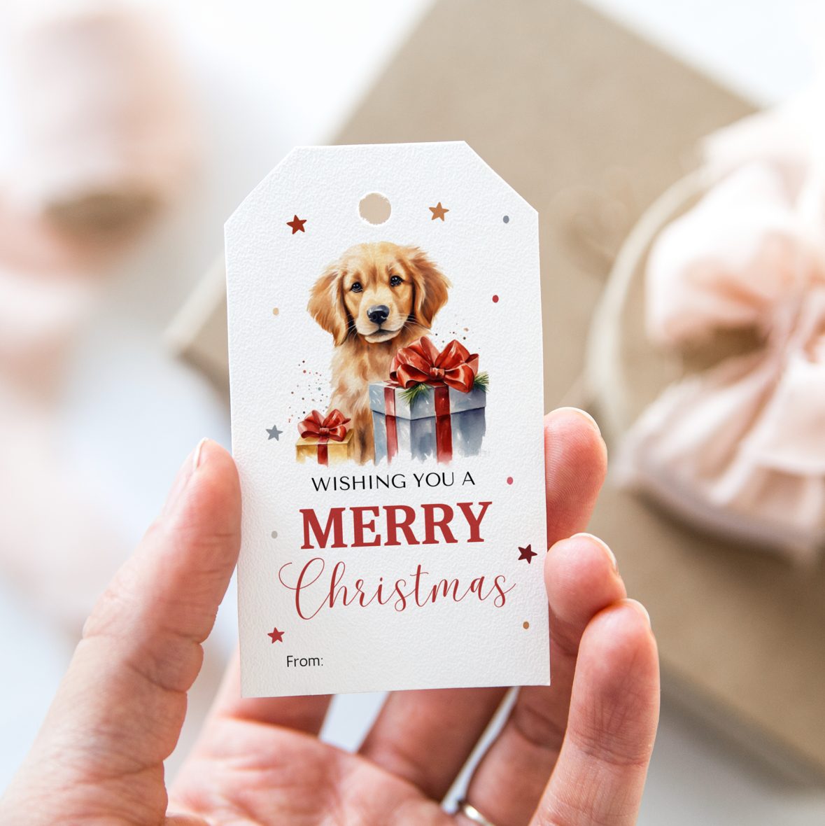 DIGITAL Merry Christmas Gift Tag (1035)