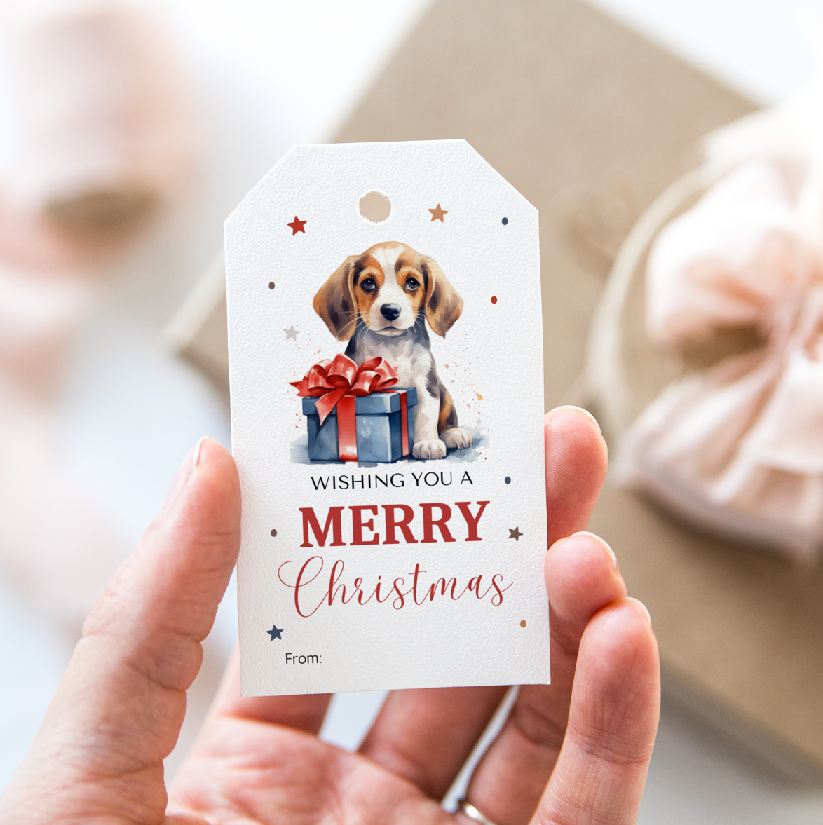 DIGITAL Merry Christmas Gift Tag (1036-2)