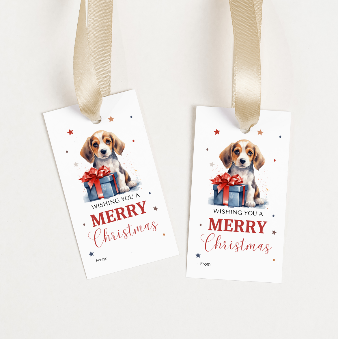 DIGITAL Merry Christmas Gift Tag (1036-2)