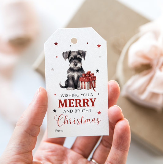 DIGITAL Merry Christmas Gift Tag (1036)