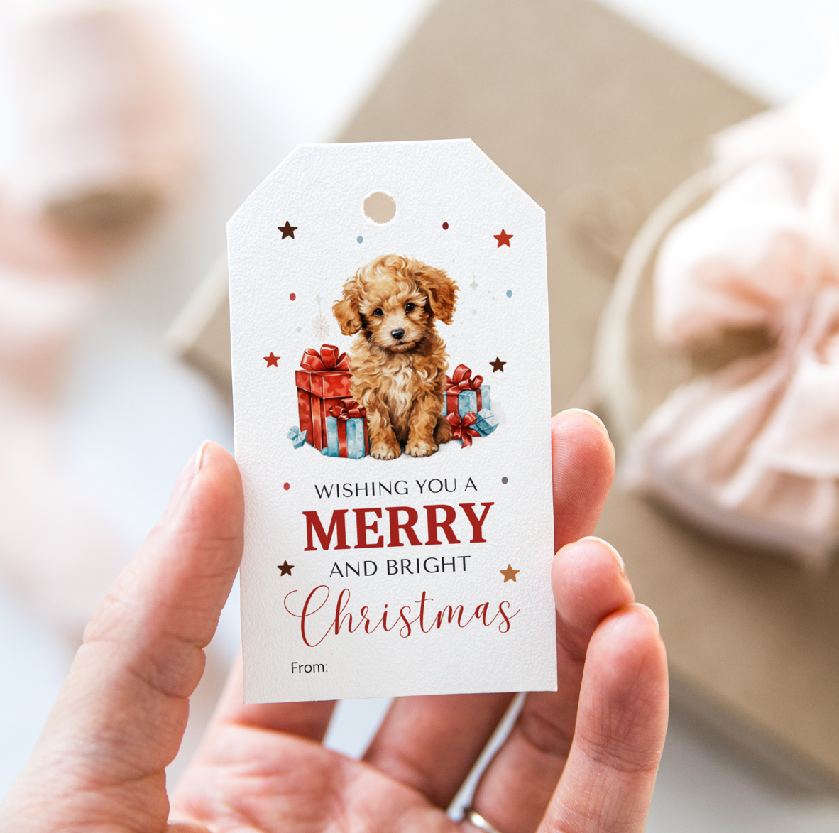 DIGITAL Merry Christmas Gift Tag (1037)