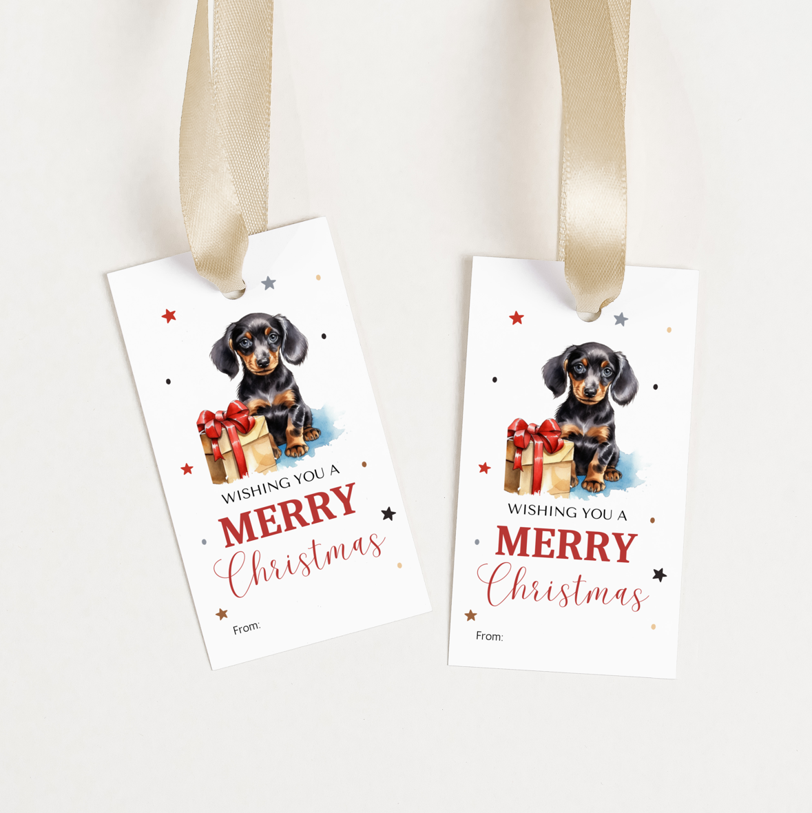 DIGITAL Merry Christmas Gift Tag (1038)