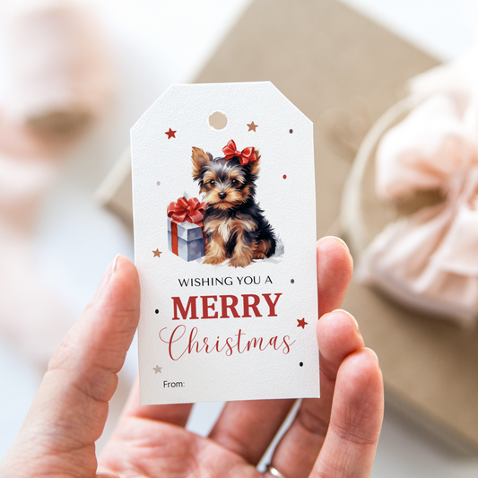 DIGITAL Merry Christmas Gift Tag (1039)