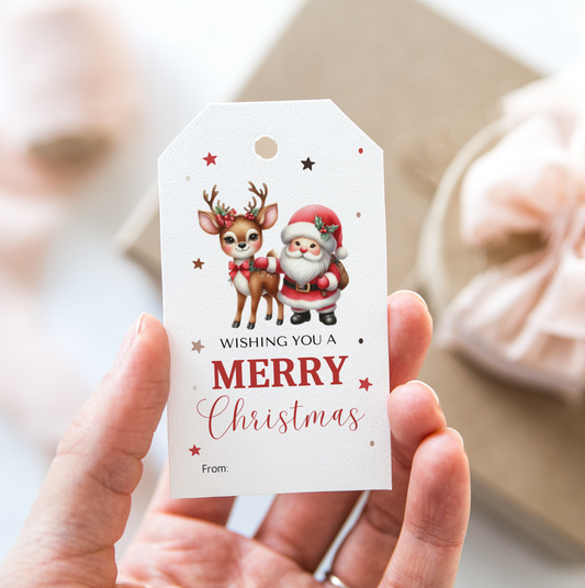 DIGITAL Merry Christmas Gift Tag (1040)