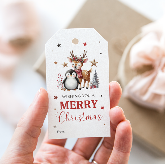 DIGITAL Merry Christmas Gift Tag (1041)