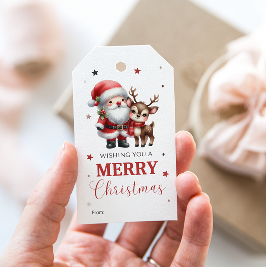 DIGITAL Merry Christmas Gift Tag (1042)