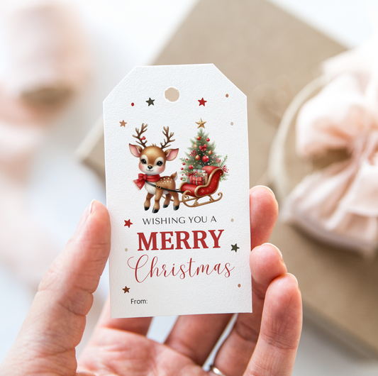 DIGITAL Merry Christmas Gift Tag (1043)