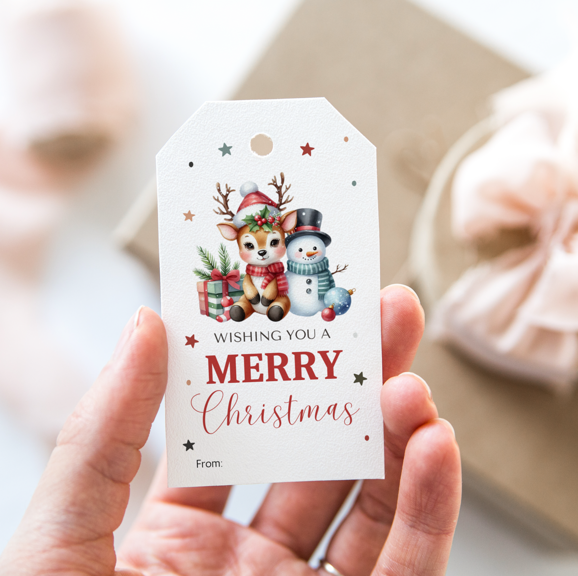 DIGITAL Merry Christmas Gift Tag (1044)